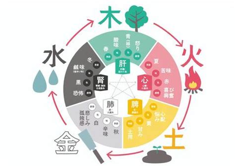 五行 水 職業|四柱推命【水】の五行とは？性格や運勢、恋愛、仕事、相性を解。